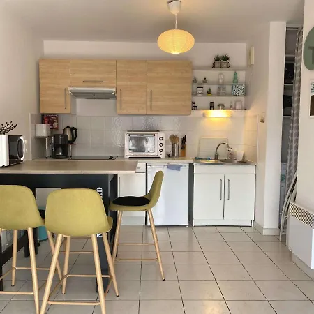Bel Appartement T2 Avec Terrasse Et Parking, Wifi Inclus - Fr-1-553-158